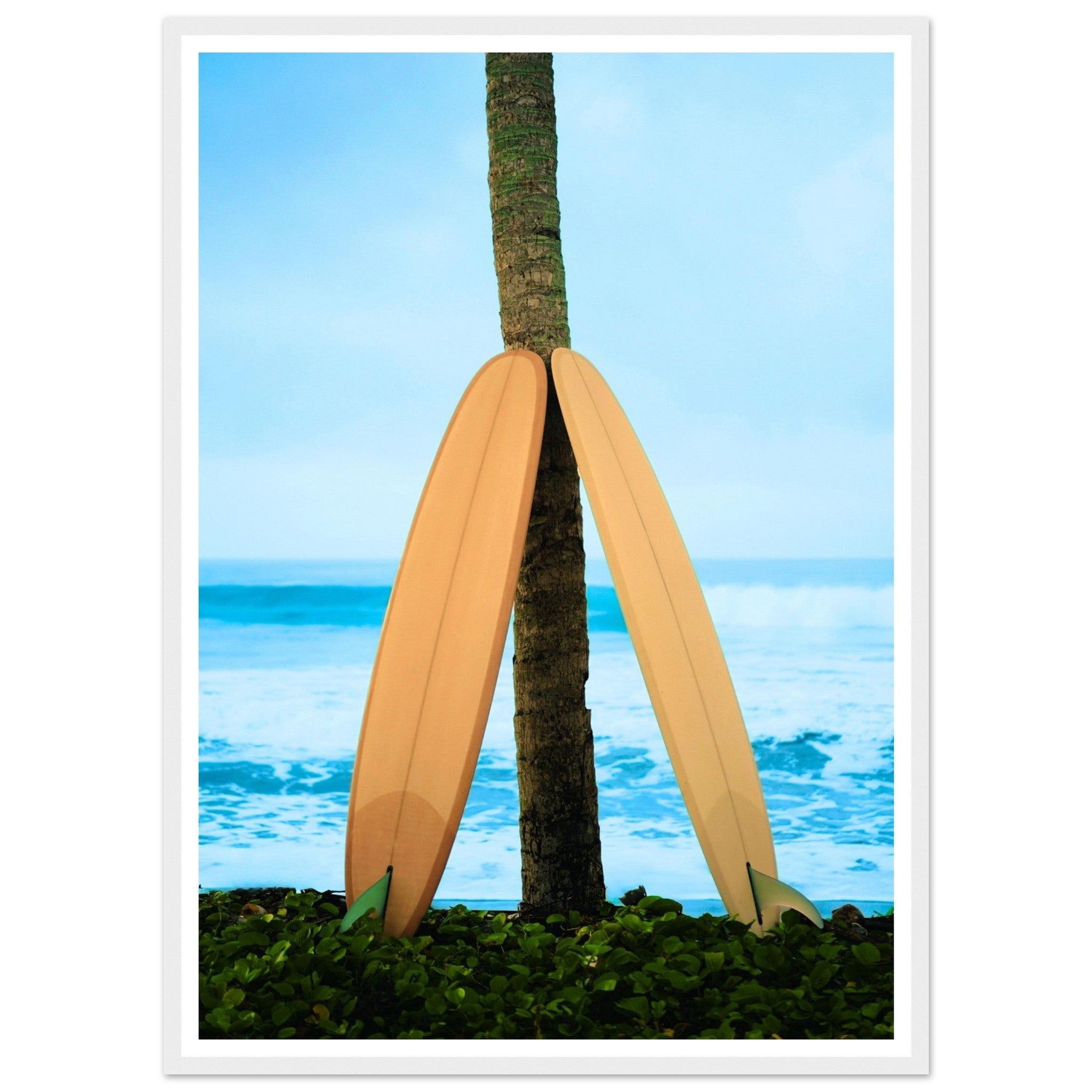 2c8aa3e3-c374-4fc3-9203-cf494a9ea03c