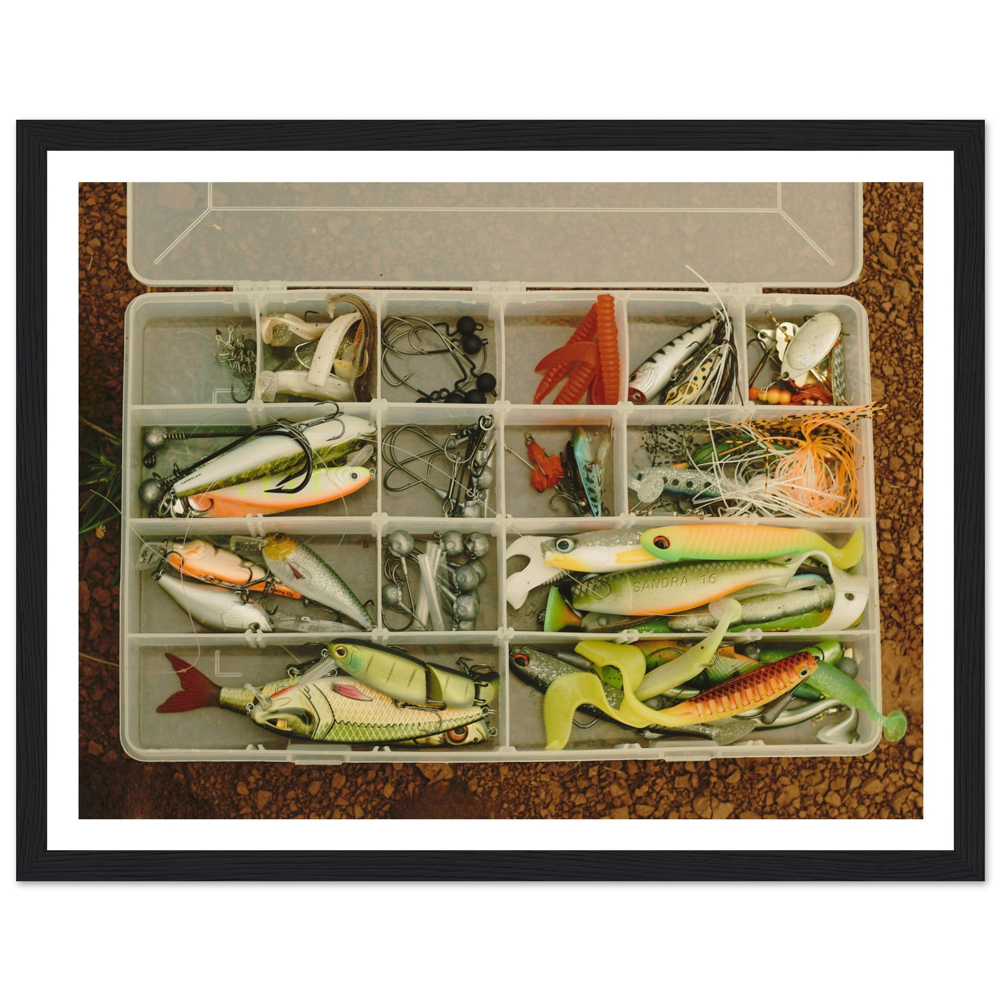 2f81128e-23be-4232-9631-589eb284b855