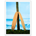 47b59bcf-b666-438f-af6e-6b687cfb6246