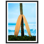 8f8f46d0-ac5e-4999-9ae3-3805ea240d1c