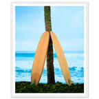 b54eff2c-ecab-4481-a1b1-01b97a6e2e1a