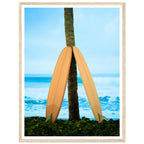 bcc39959-a142-4c86-ba7f-3a71df481932